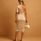 Women’s elegant slim fit dress with a timeless minimalist design, perfect for formal events, office days, and evening wear.
